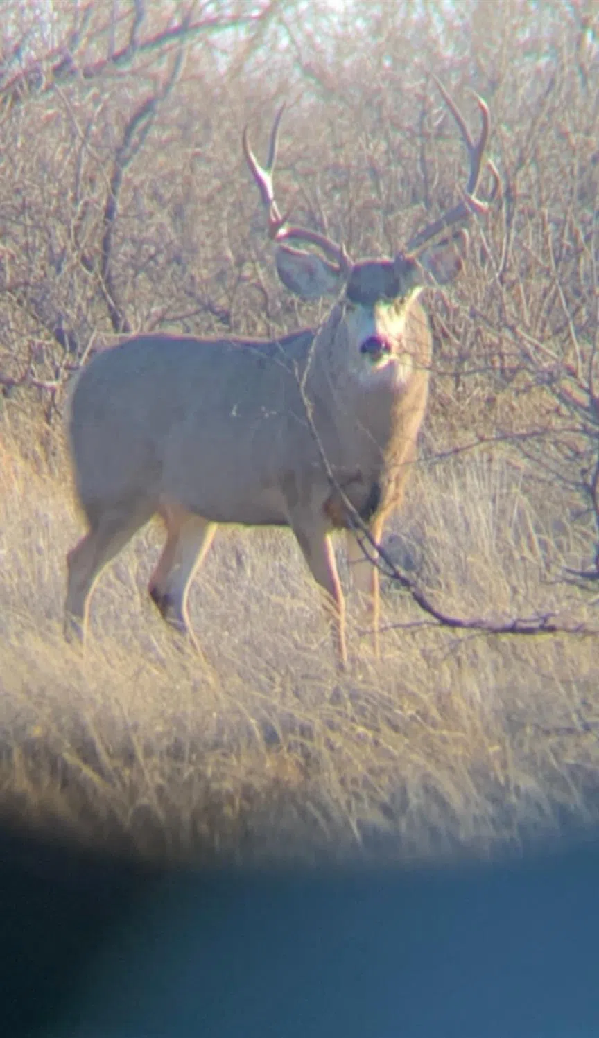 County Road O Lamesa, TX 79331