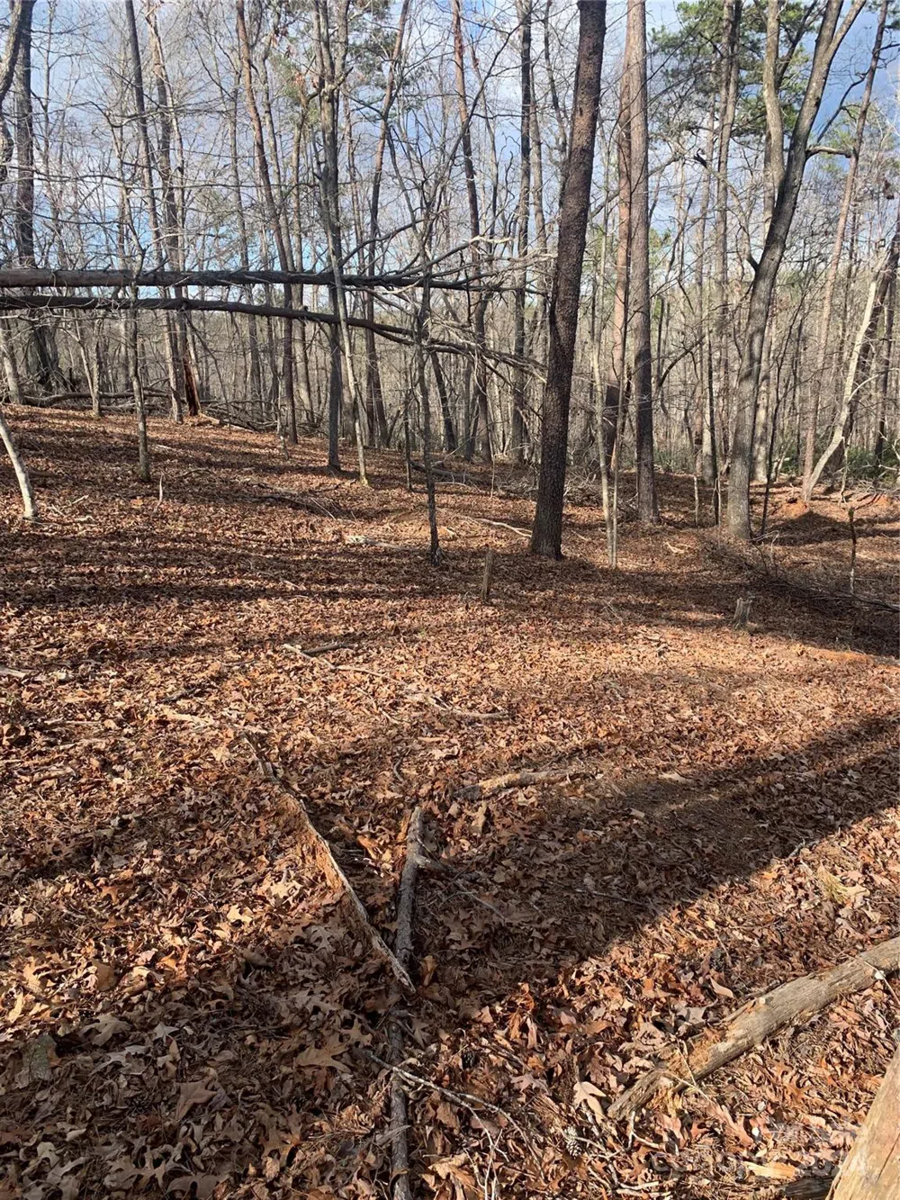 0 Lynch Road SW Mill Spring, NC 28756