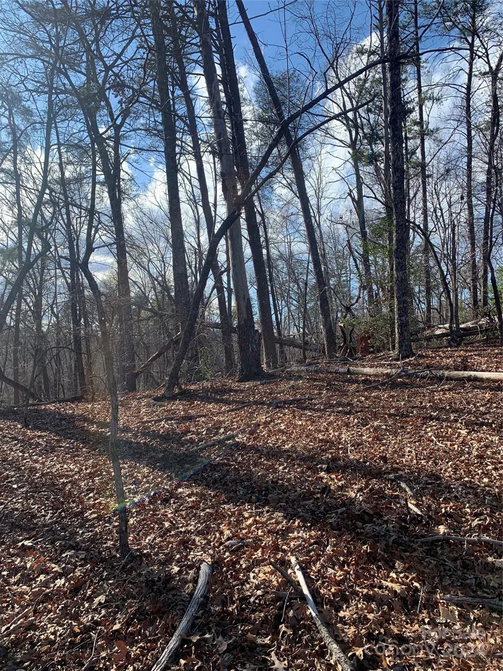 0 Lynch Road SW Mill Spring, NC 28756