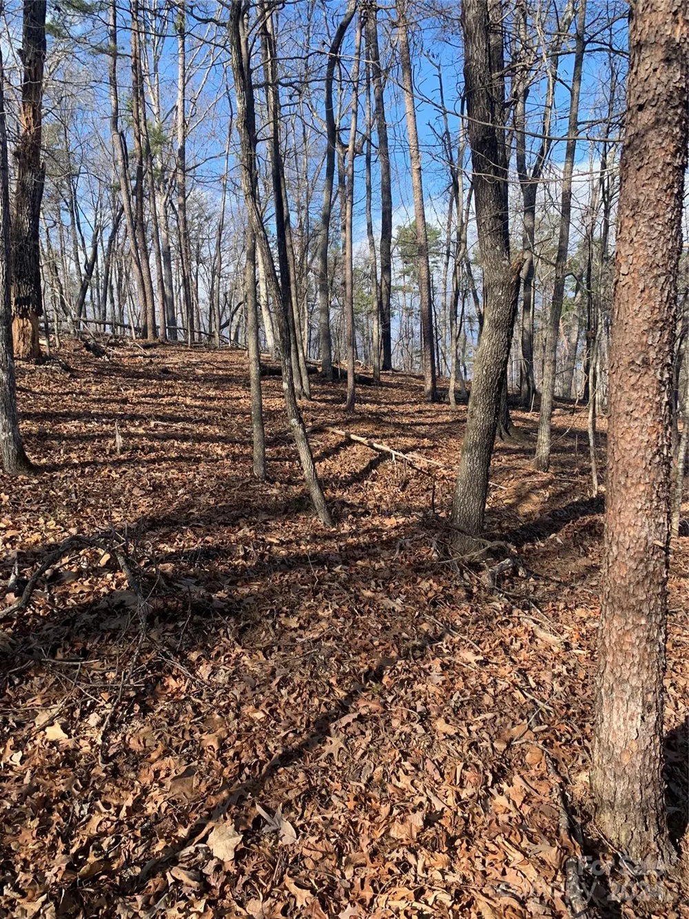 0 Lynch Road SW Mill Spring, NC 28756