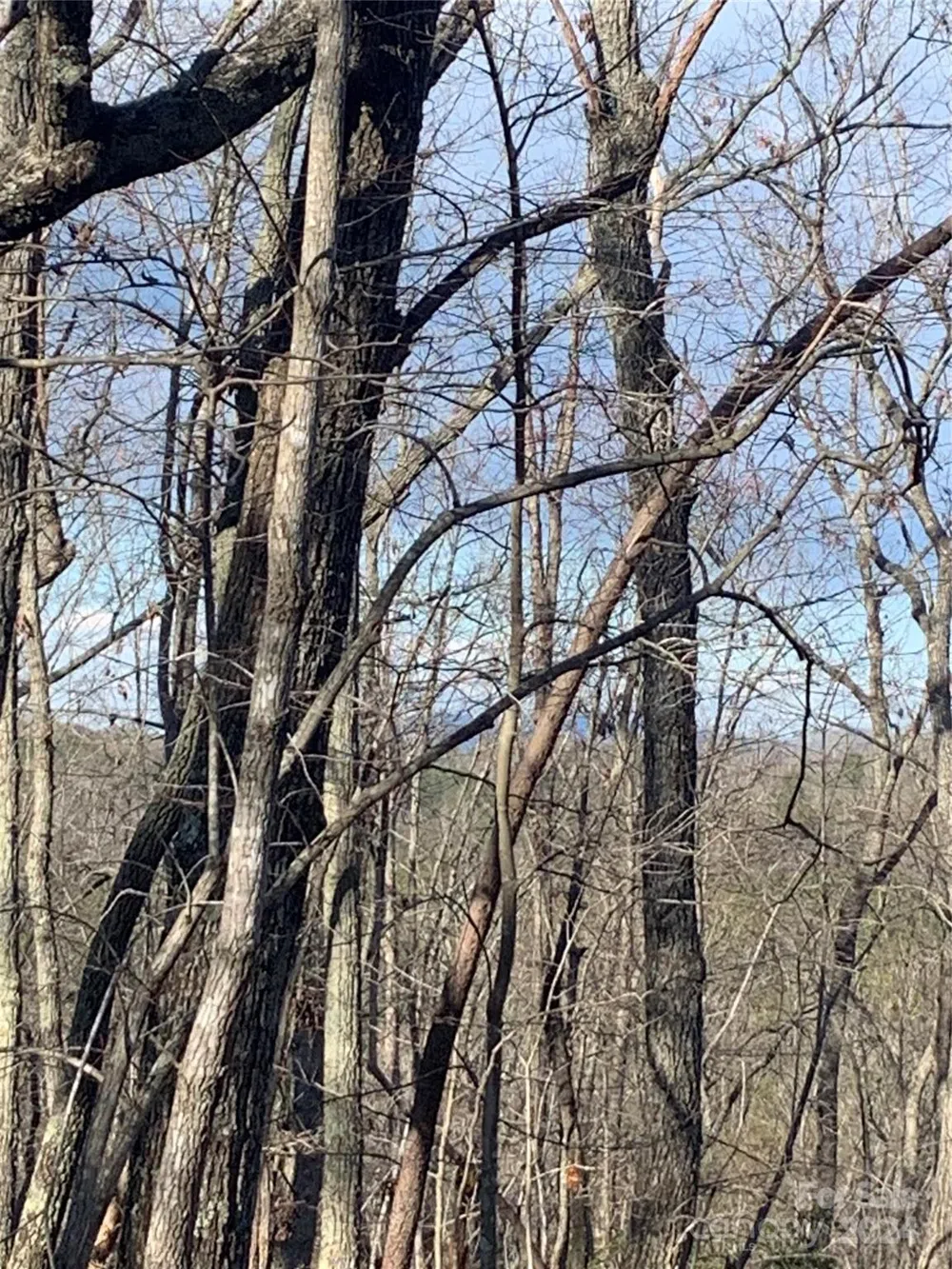 0 Lynch Road SW Mill Spring, NC 28756