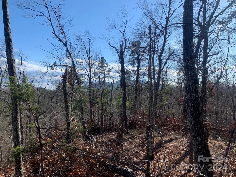 0 Lynch Road SW Mill Spring, NC 28756