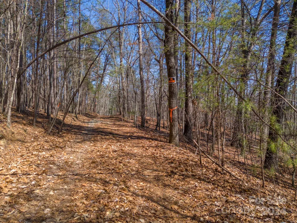 0 Lynch Road SW Mill Spring, NC 28756