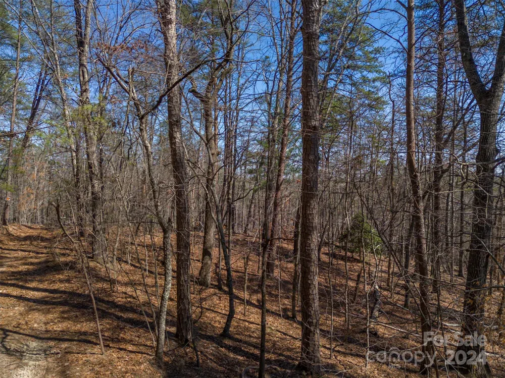 0 Lynch Road SW Mill Spring, NC 28756