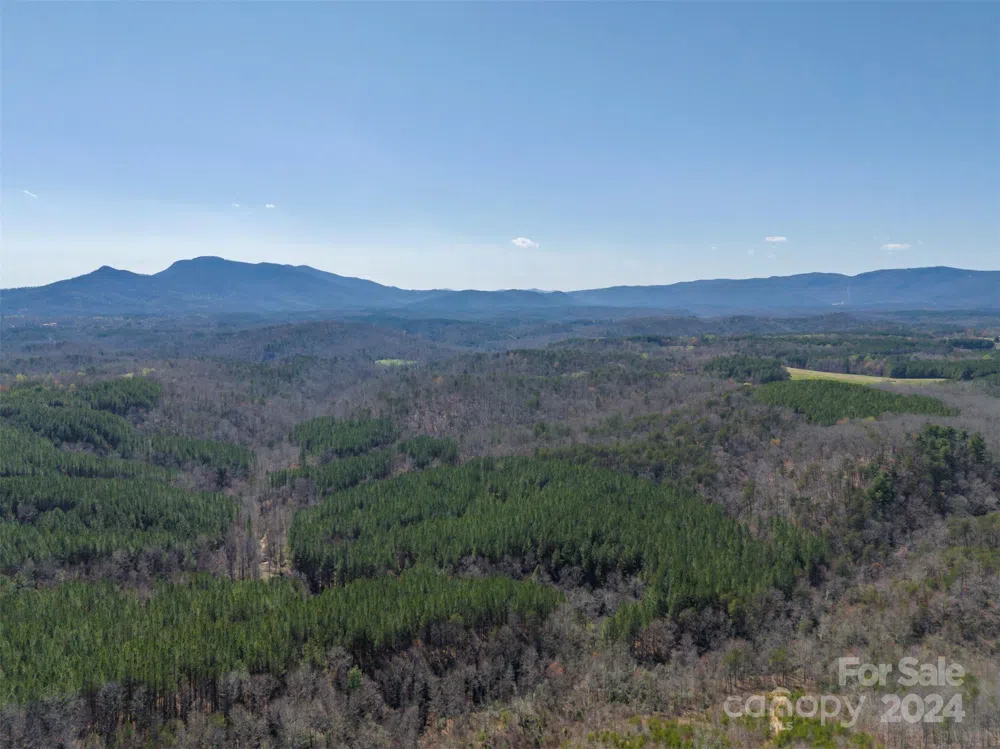 0 Lynch Road SW Mill Spring, NC 28756