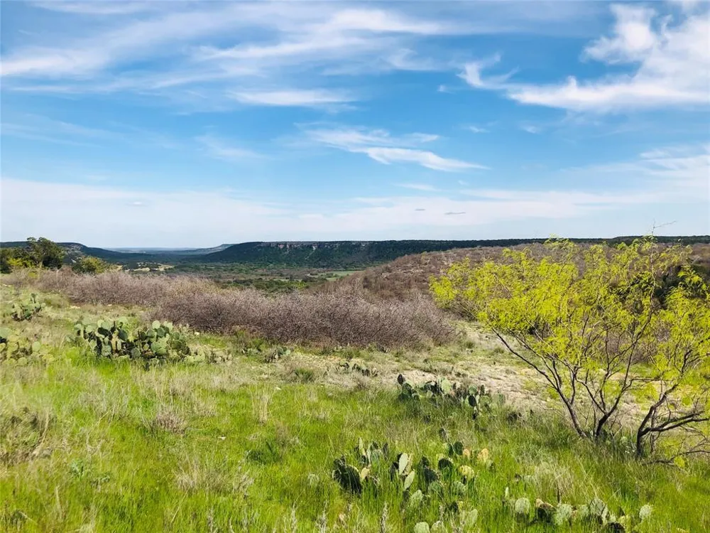 Oak Tree Drive Possum Kingdom Lake, TX 76449