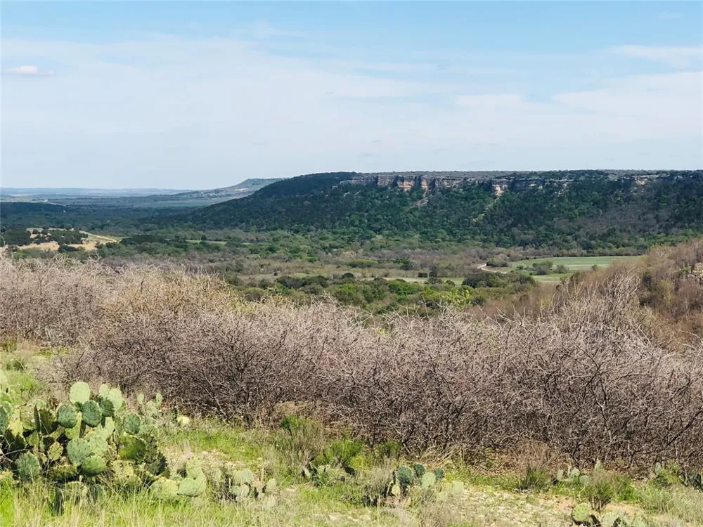 Oak Tree Drive Possum Kingdom Lake, TX 76449
