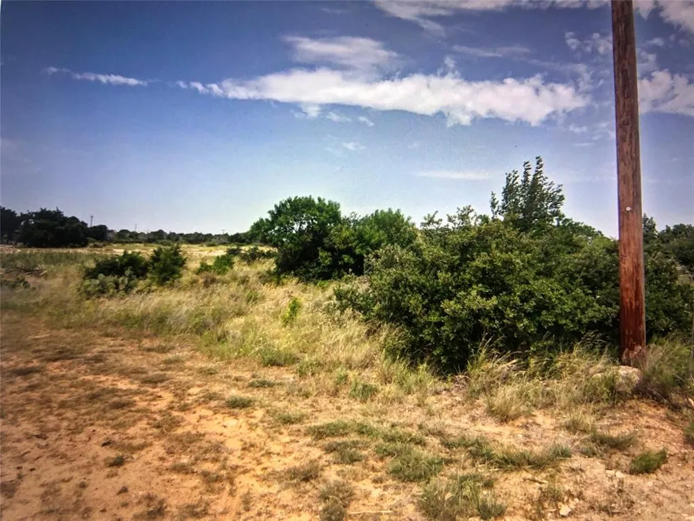 Oak Tree Drive Possum Kingdom Lake, TX 76449
