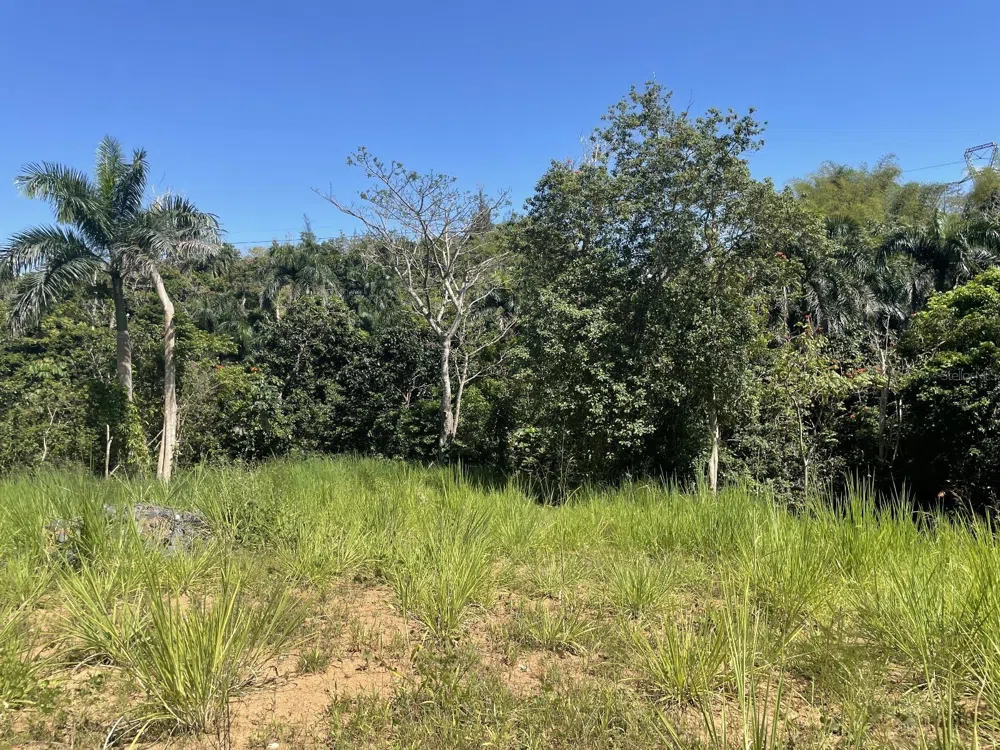 CALLE CARRAIZO Caguas, PR 00725