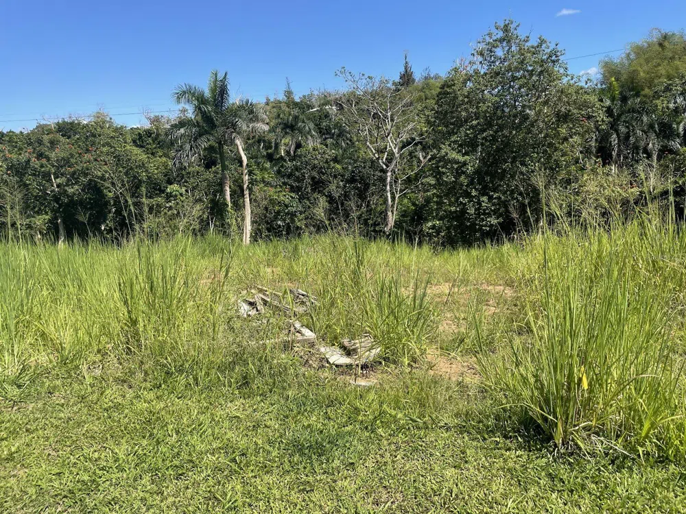 CALLE CARRAIZO Caguas, PR 00725