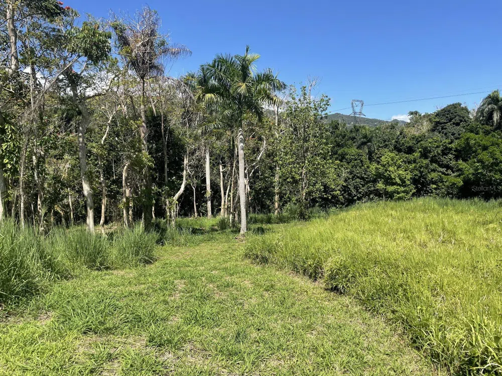 CALLE CARRAIZO Caguas, PR 00725