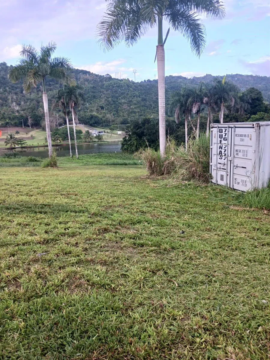 CALLE CARRAIZO Caguas, PR 00725