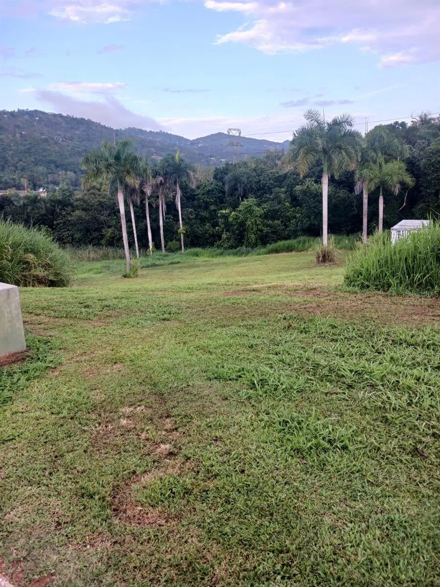 CALLE CARRAIZO Caguas, PR 00725