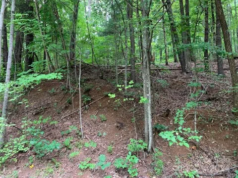 Lot 49-50 Mckenzie Way S