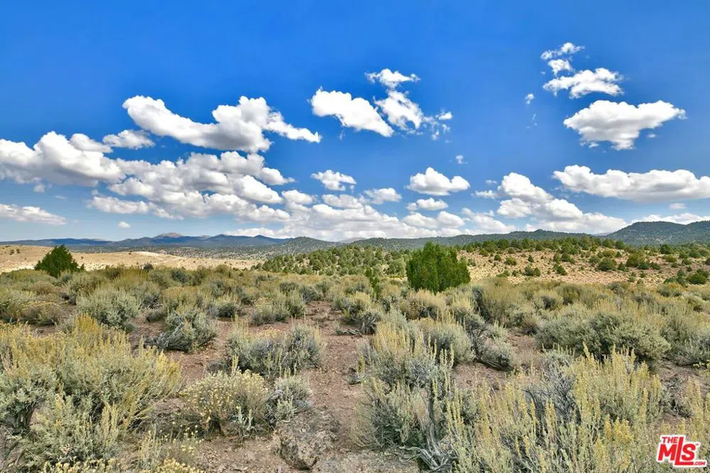 350 Aspen Lane Bridgeport, CA 93517