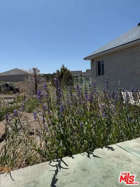 350 Aspen Lane Bridgeport, CA 93517