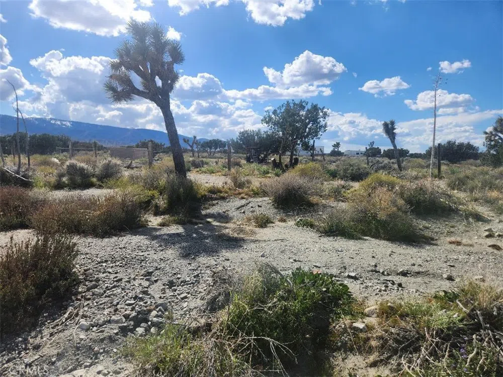 2647 Minero Road Pinon Hills, CA 92372