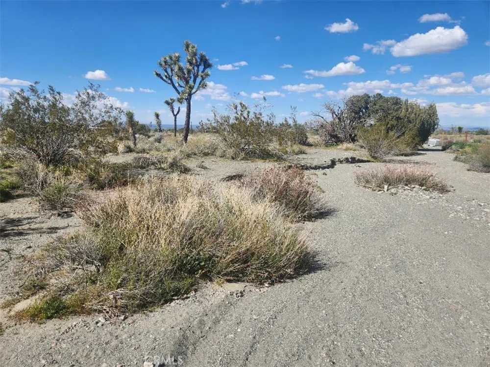 2647 Minero Road Pinon Hills, CA 92372