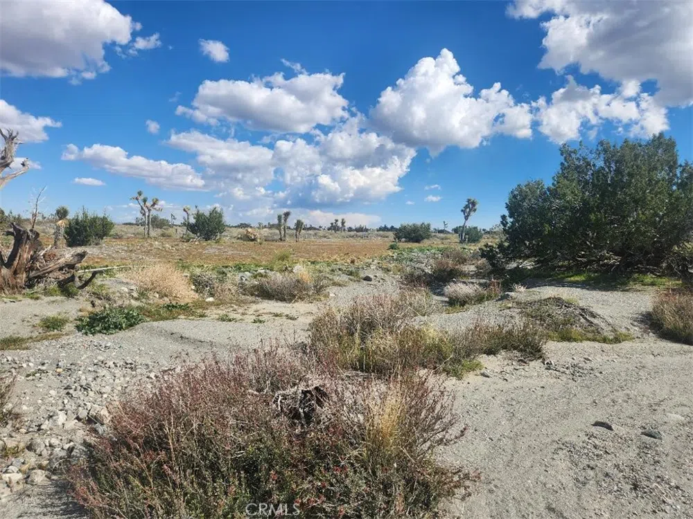 2647 Minero Road Pinon Hills, CA 92372