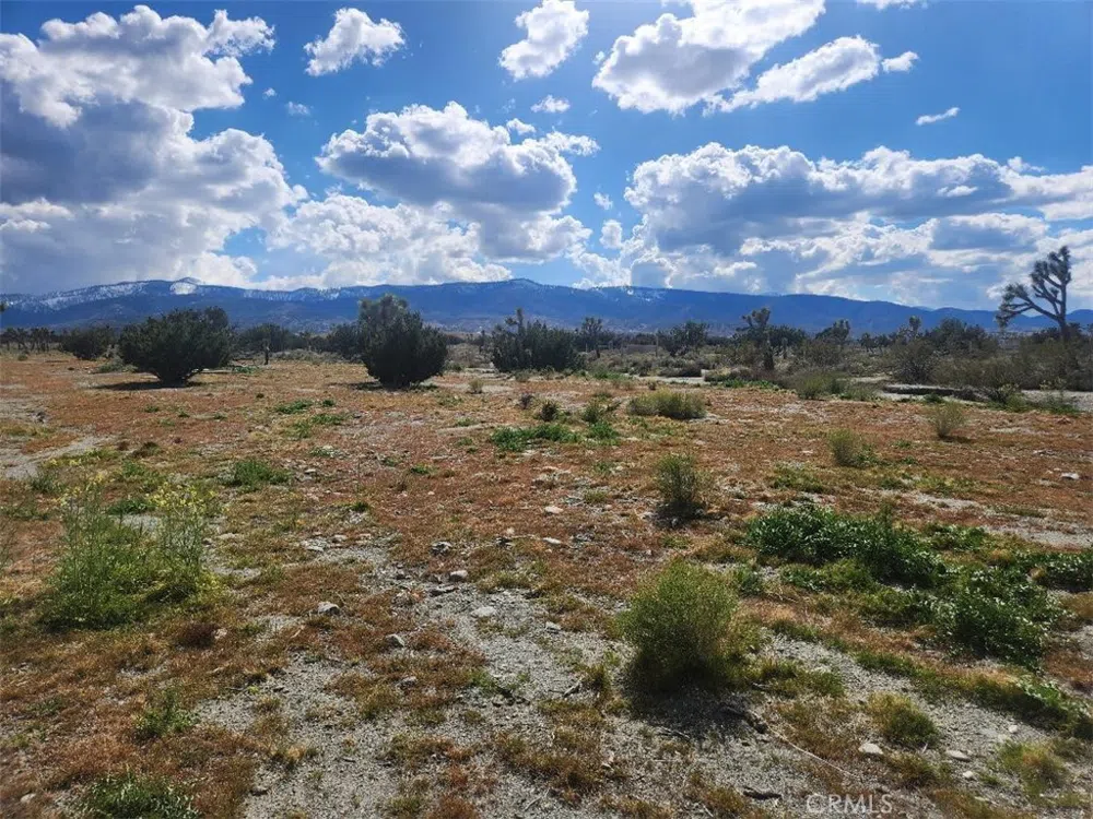 2647 Minero Road Pinon Hills, CA 92372