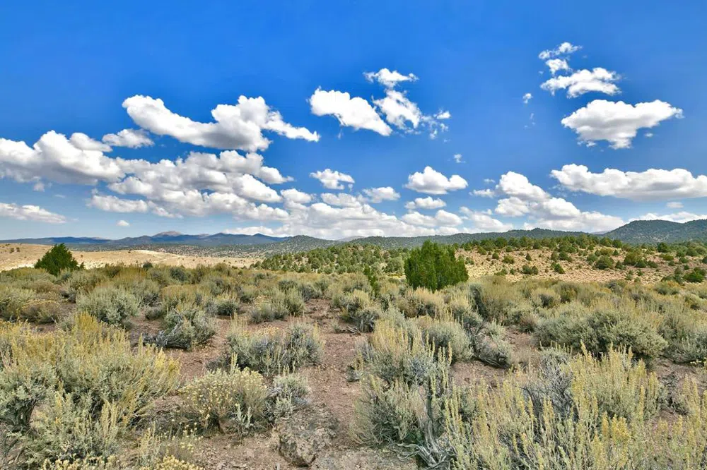 350 Aspen Lane Bridgeport, CA 93517
