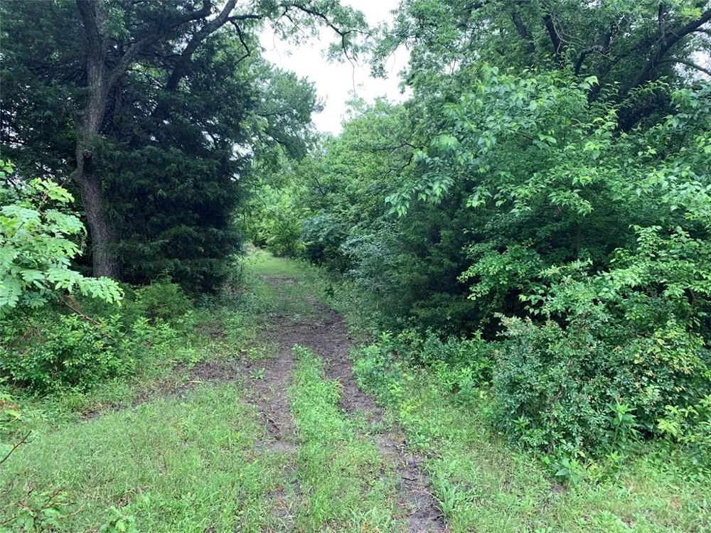 619 Watson Street Seagoville, TX 75159