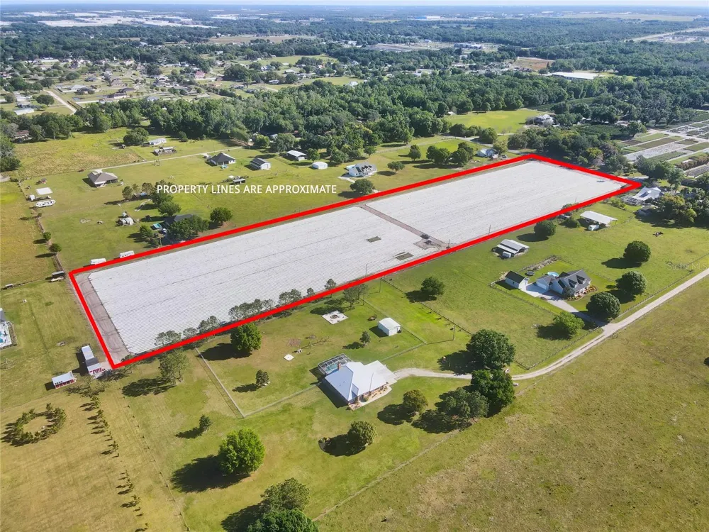 3811 OLD MULBERRY ROAD Plant City, FL 33567
