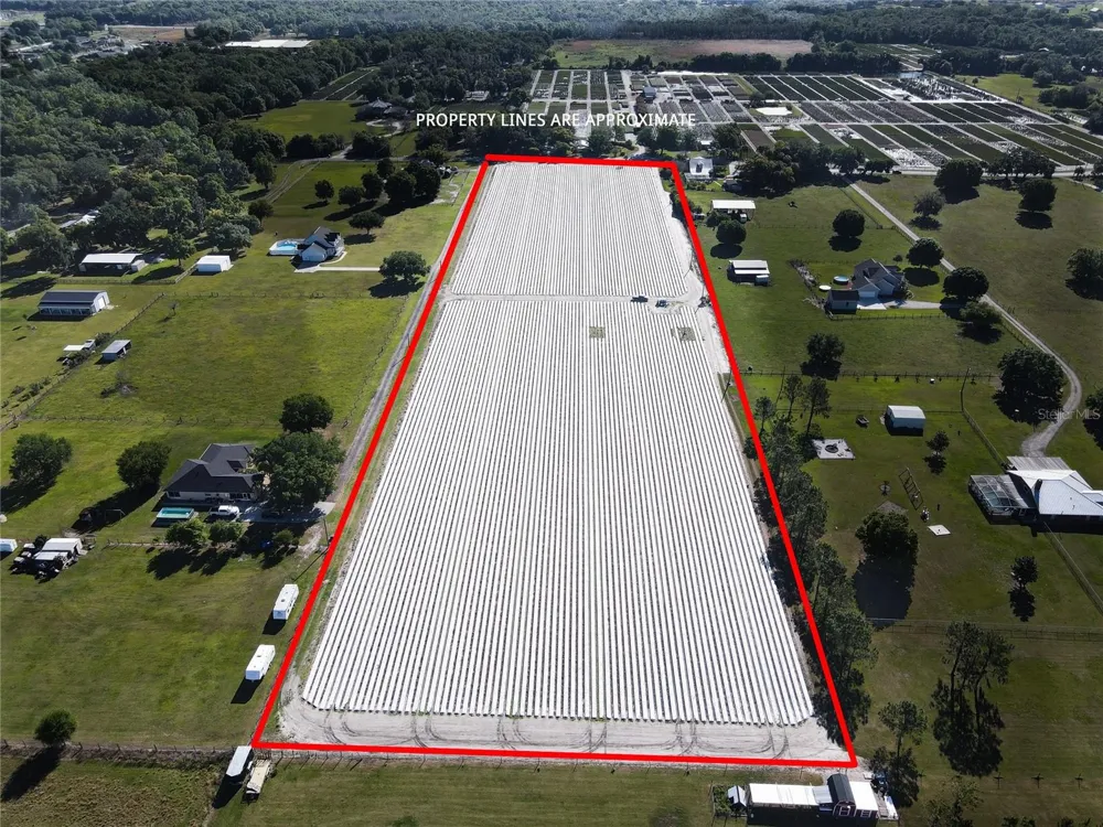 3811 OLD MULBERRY ROAD Plant City, FL 33567