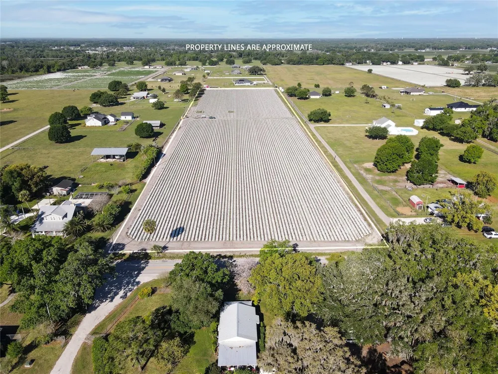 3811 OLD MULBERRY ROAD Plant City, FL 33567