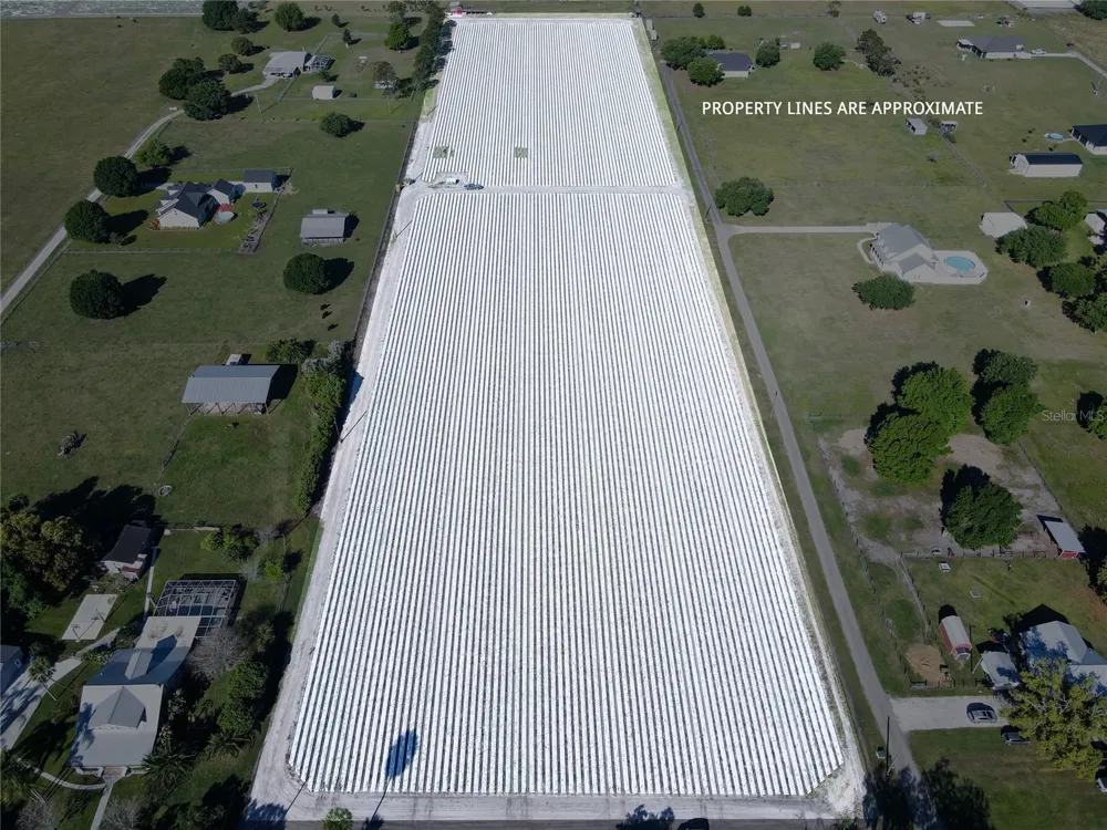 3811 OLD MULBERRY ROAD Plant City, FL 33567