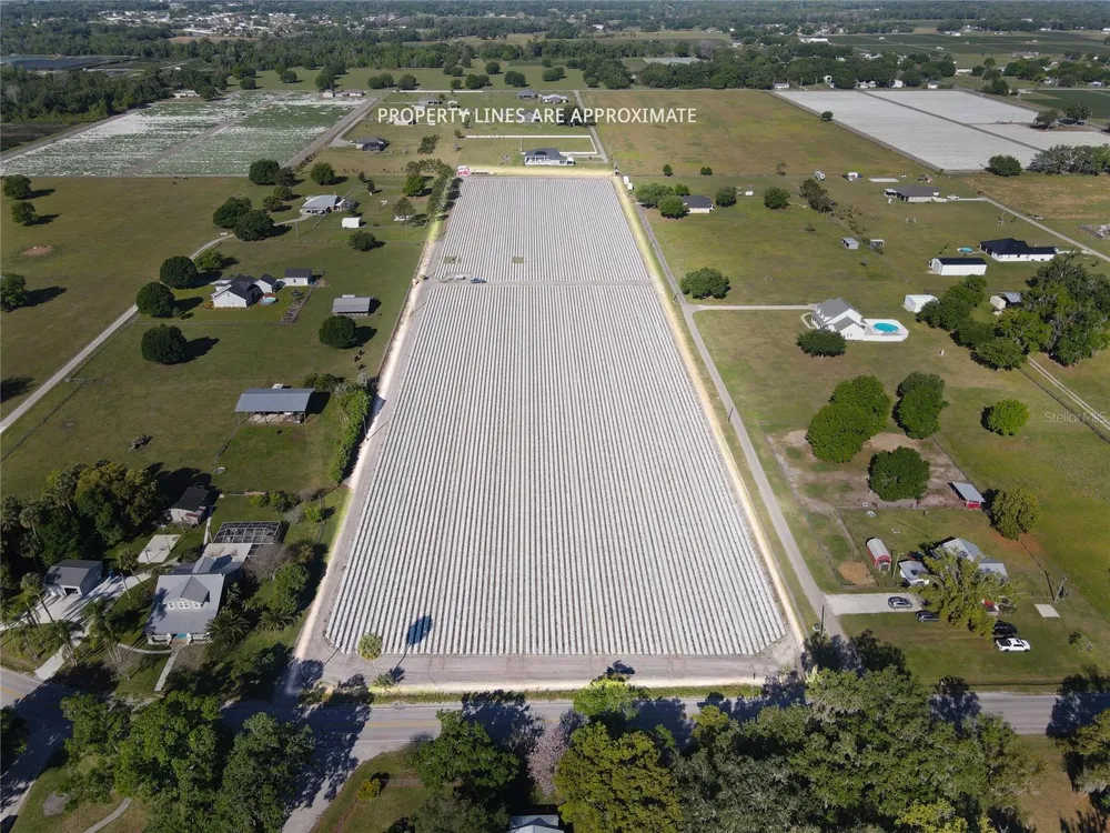 3811 OLD MULBERRY ROAD Plant City, FL 33567