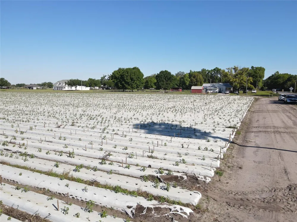 3811 OLD MULBERRY ROAD Plant City, FL 33567