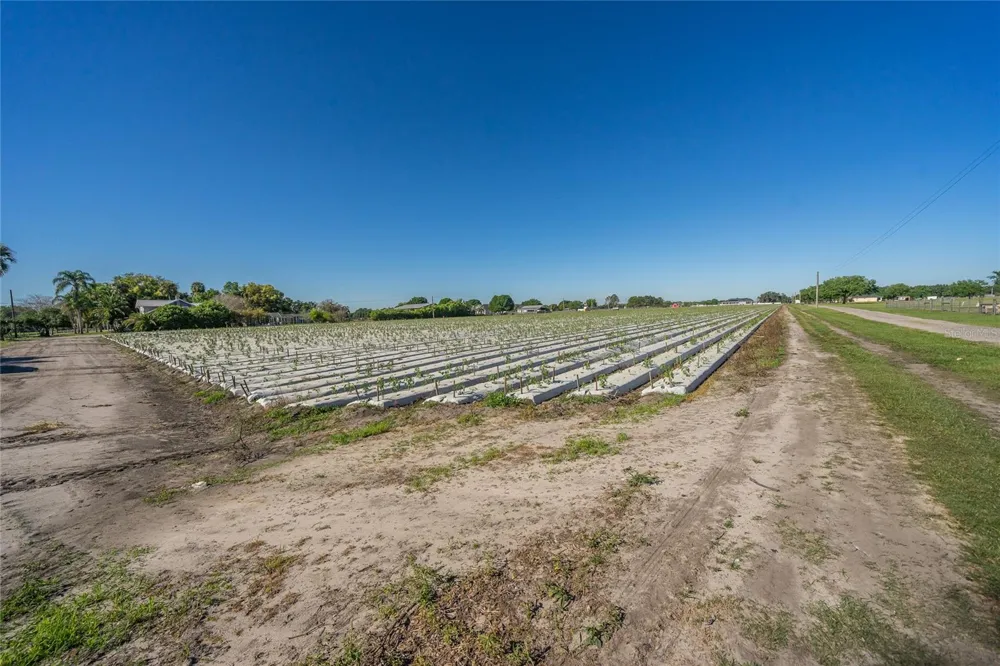 3811 OLD MULBERRY ROAD Plant City, FL 33567