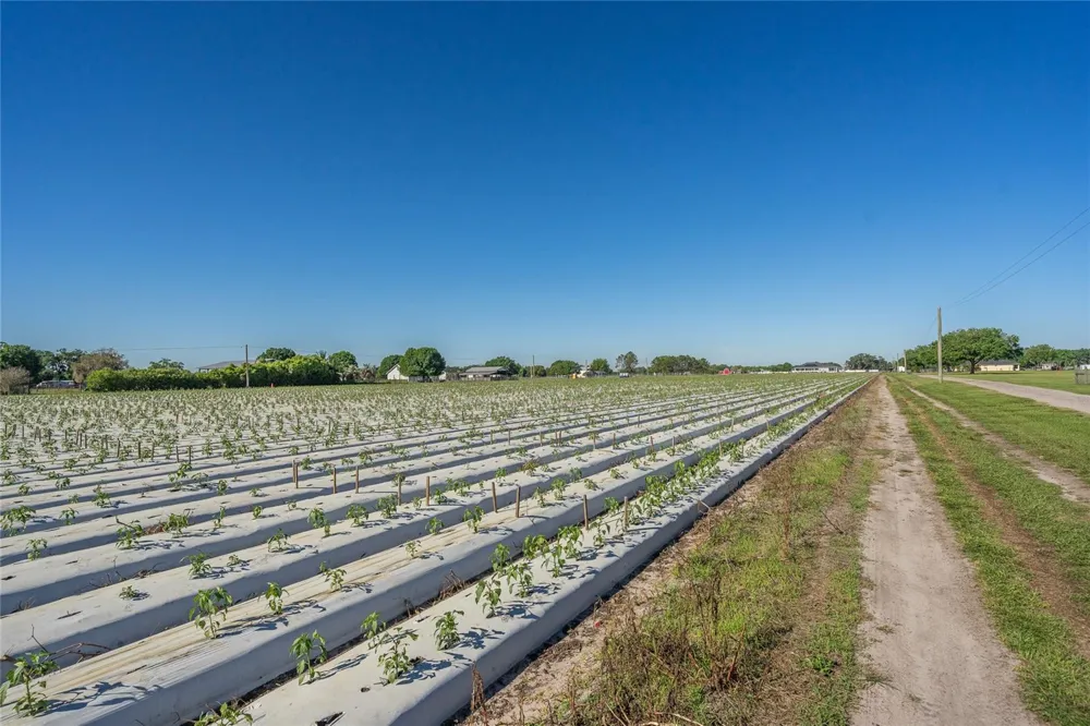 3811 OLD MULBERRY ROAD Plant City, FL 33567