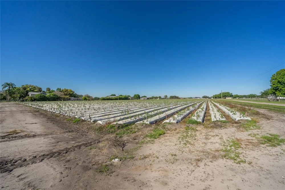 3811 OLD MULBERRY ROAD Plant City, FL 33567