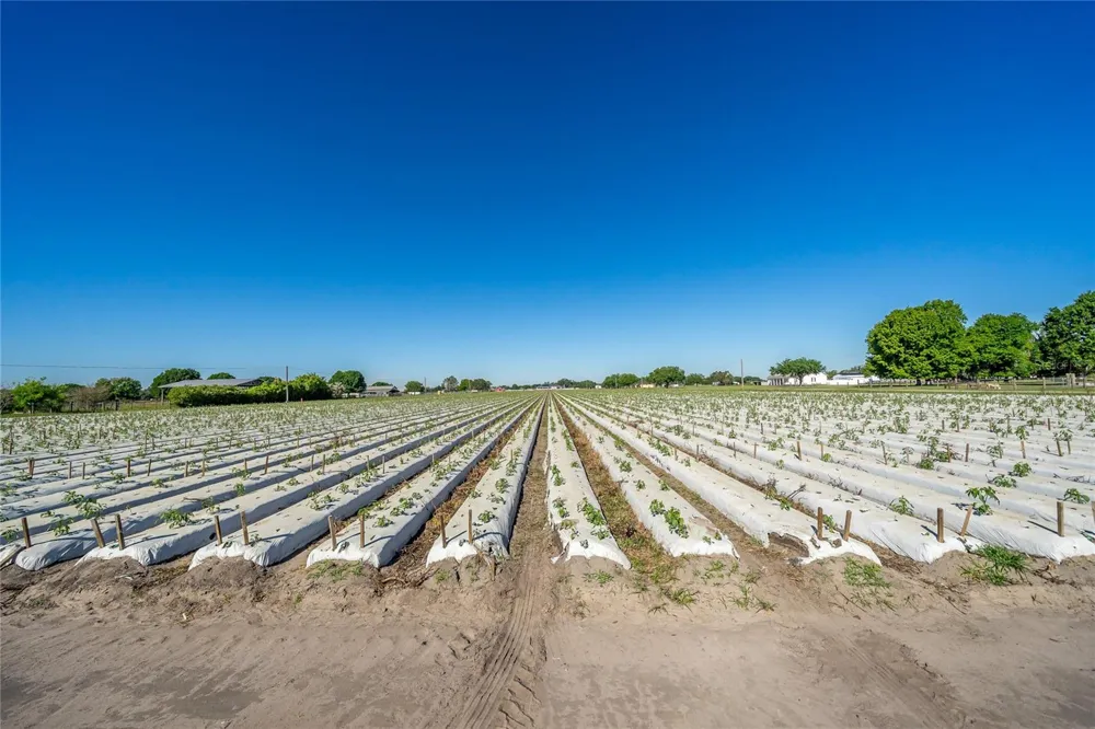3811 OLD MULBERRY ROAD Plant City, FL 33567