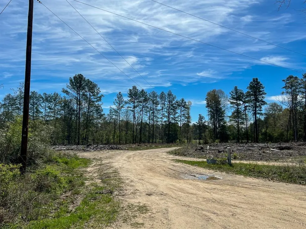 1 County Road 443 Kirbyville, TX 75956