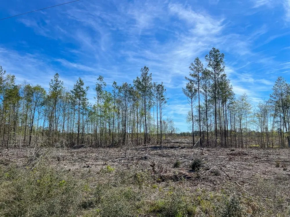 1 County Road 443 Kirbyville, TX 75956
