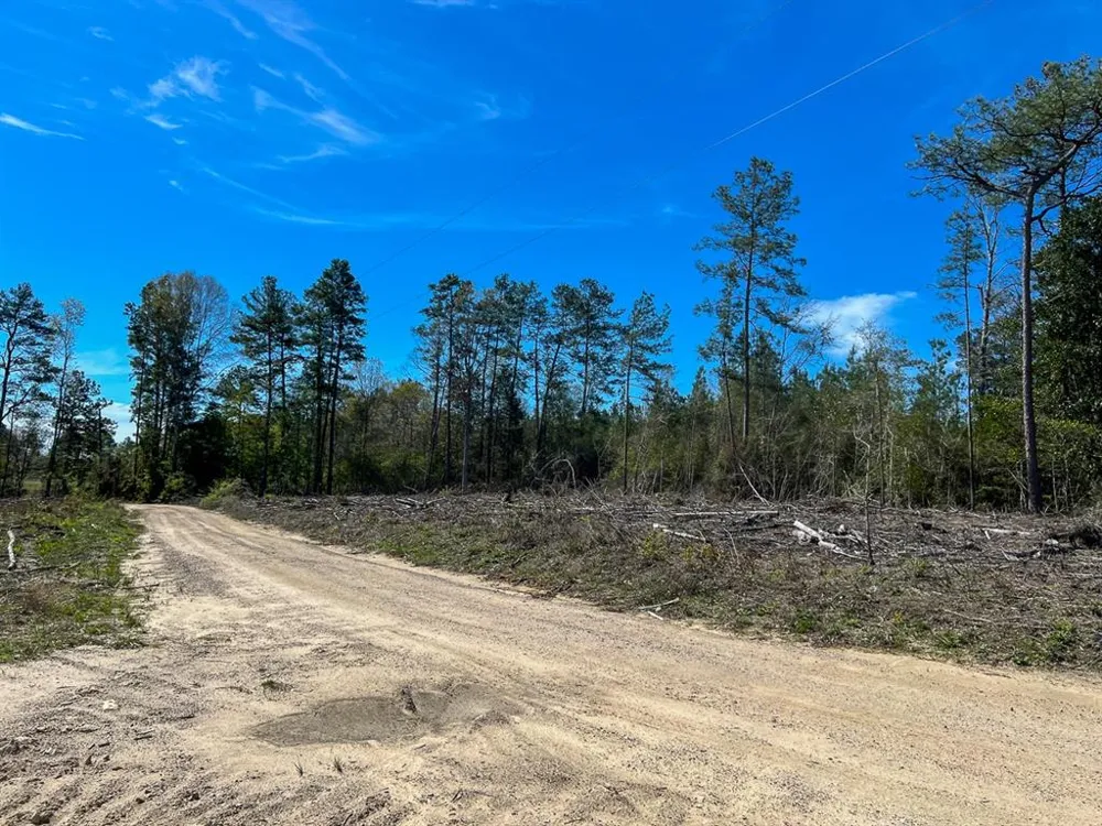 1 County Road 443 Kirbyville, TX 75956