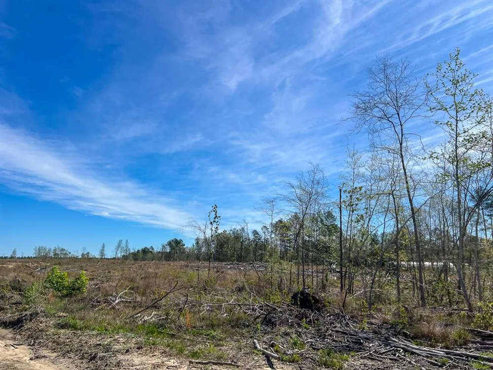 1 County Road 443 Kirbyville, TX 75956