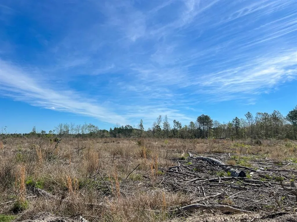 1 County Road 443 Kirbyville, TX 75956