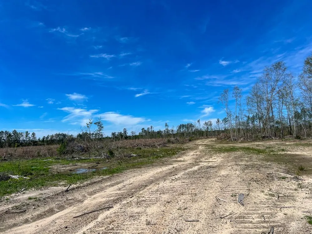 1 County Road 443 Kirbyville, TX 75956