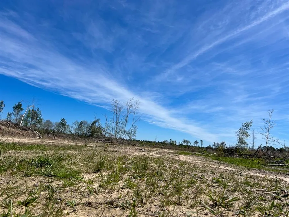 1 County Road 443 Kirbyville, TX 75956