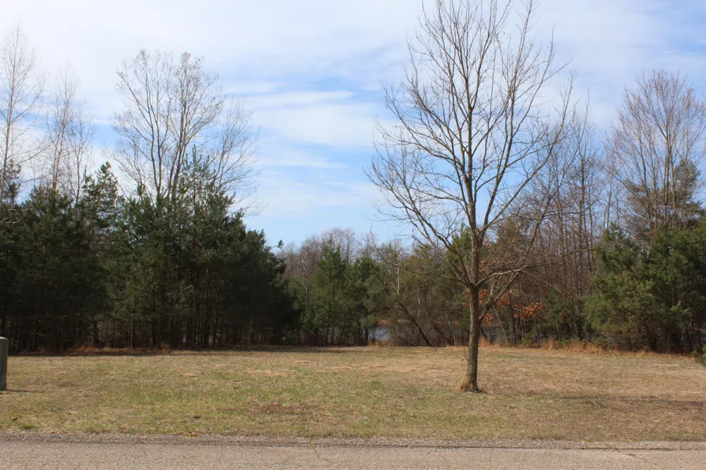 43278 Whispering Pines Path #9 Coloma, MI 49038