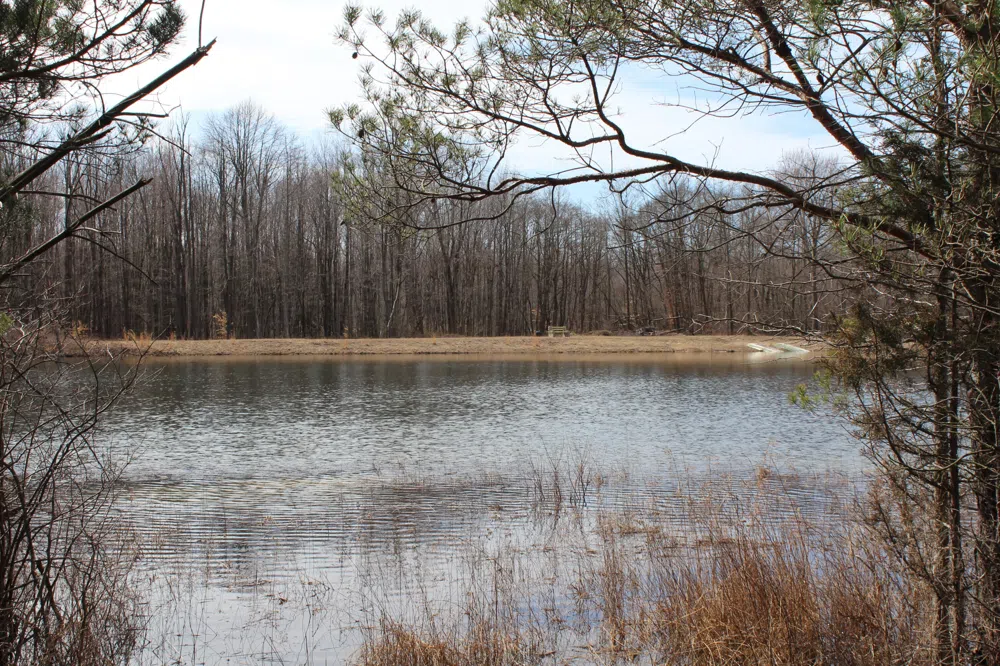 43278 Whispering Pines Path #9 Coloma, MI 49038
