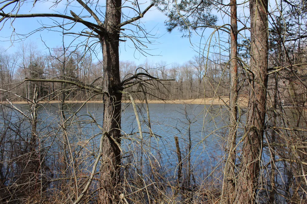 43278 Whispering Pines Path #9 Coloma, MI 49038
