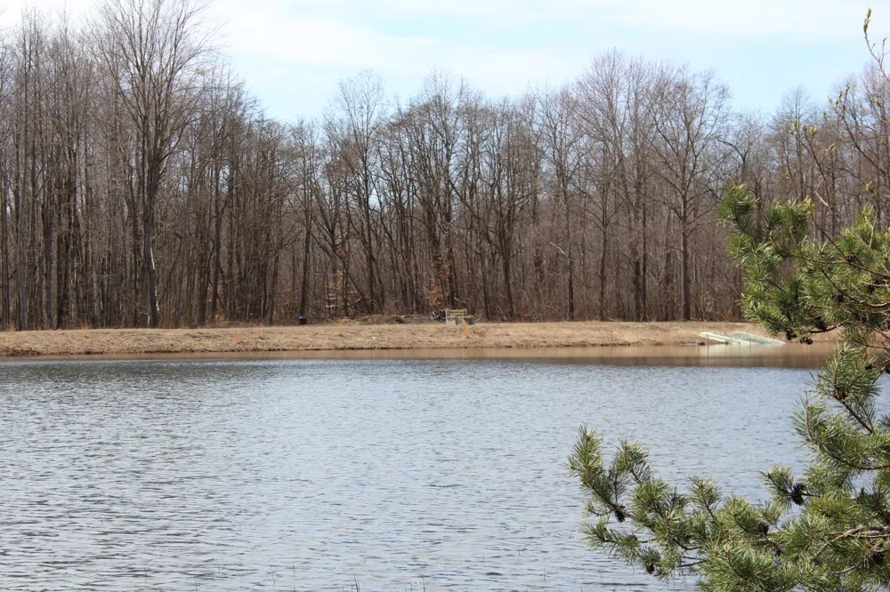 43278 Whispering Pines Path #9 Coloma, MI 49038
