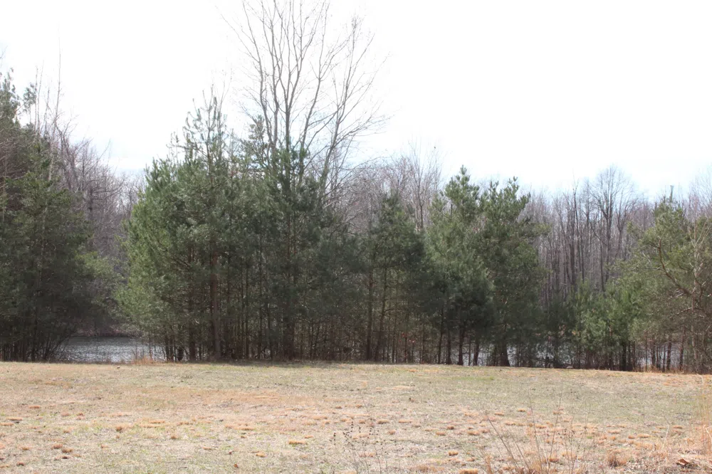 43278 Whispering Pines Path #9 Coloma, MI 49038