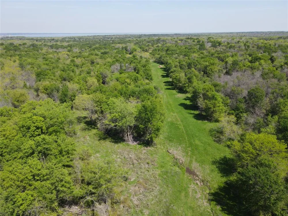 SE CR 1240 Streetman, TX 75859
