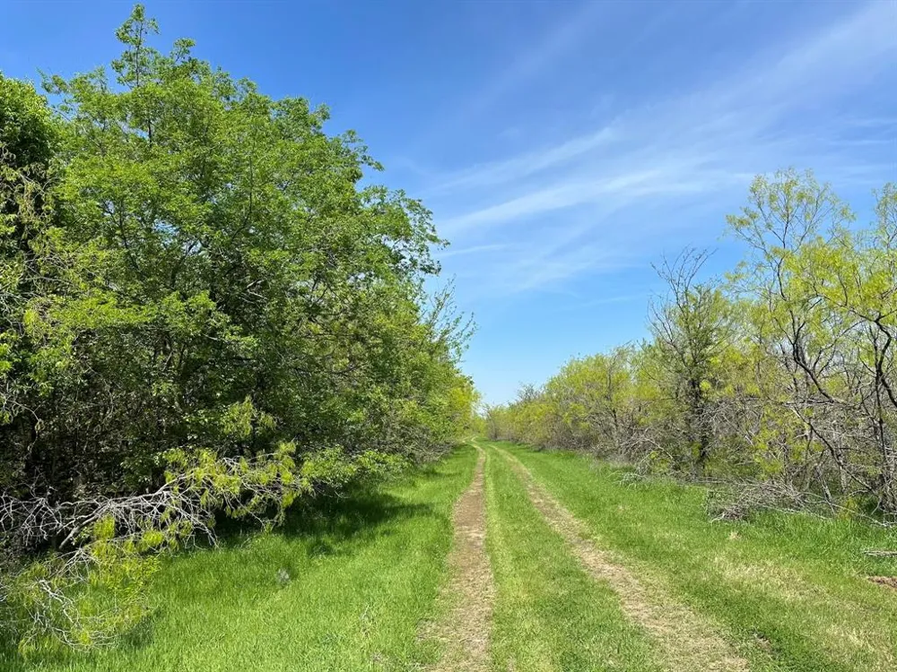 SE CR 1240 Streetman, TX 75859
